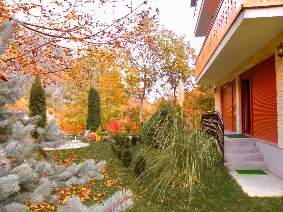 Vila Alexander B&B Valbone Exteriér fotografie